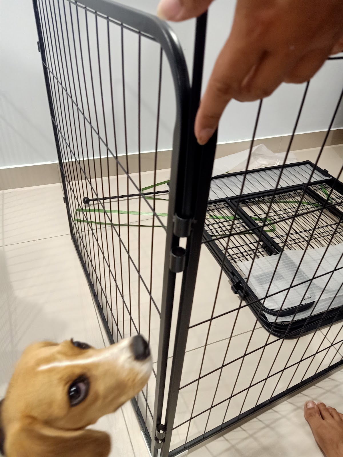 Mochi & Friends Ventures 1