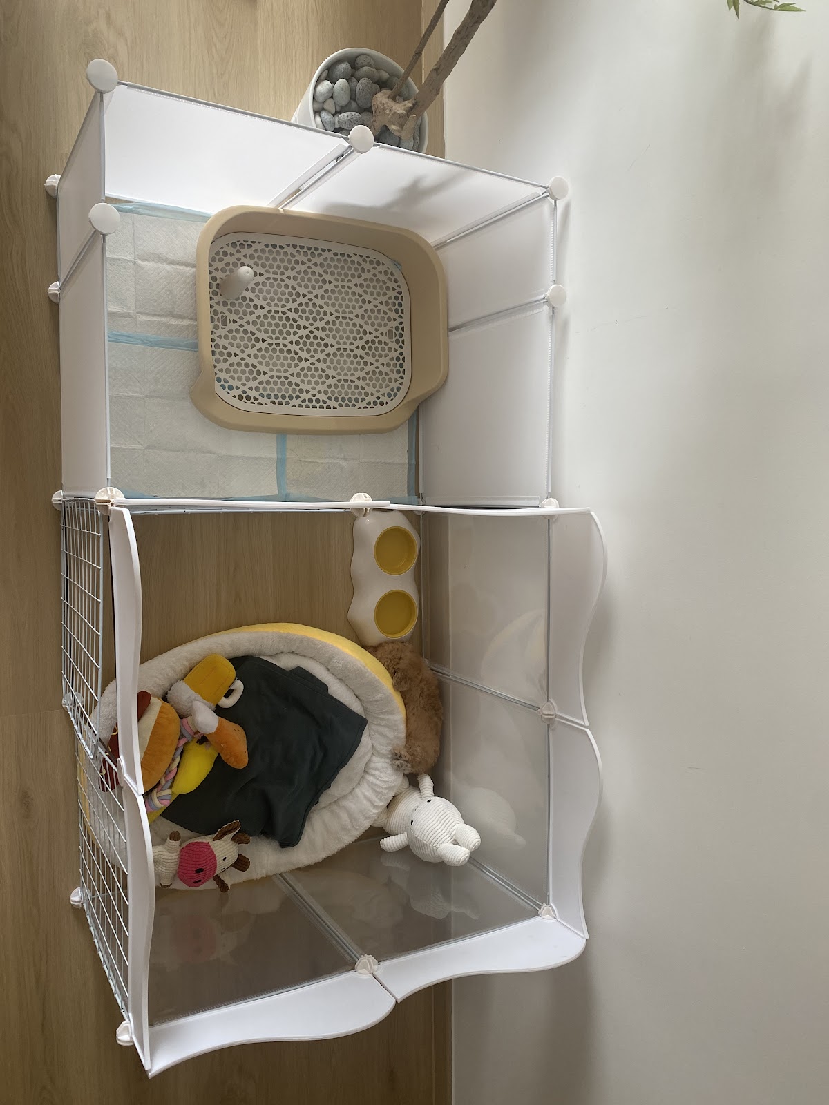 Mochi & Friends Ventures 8