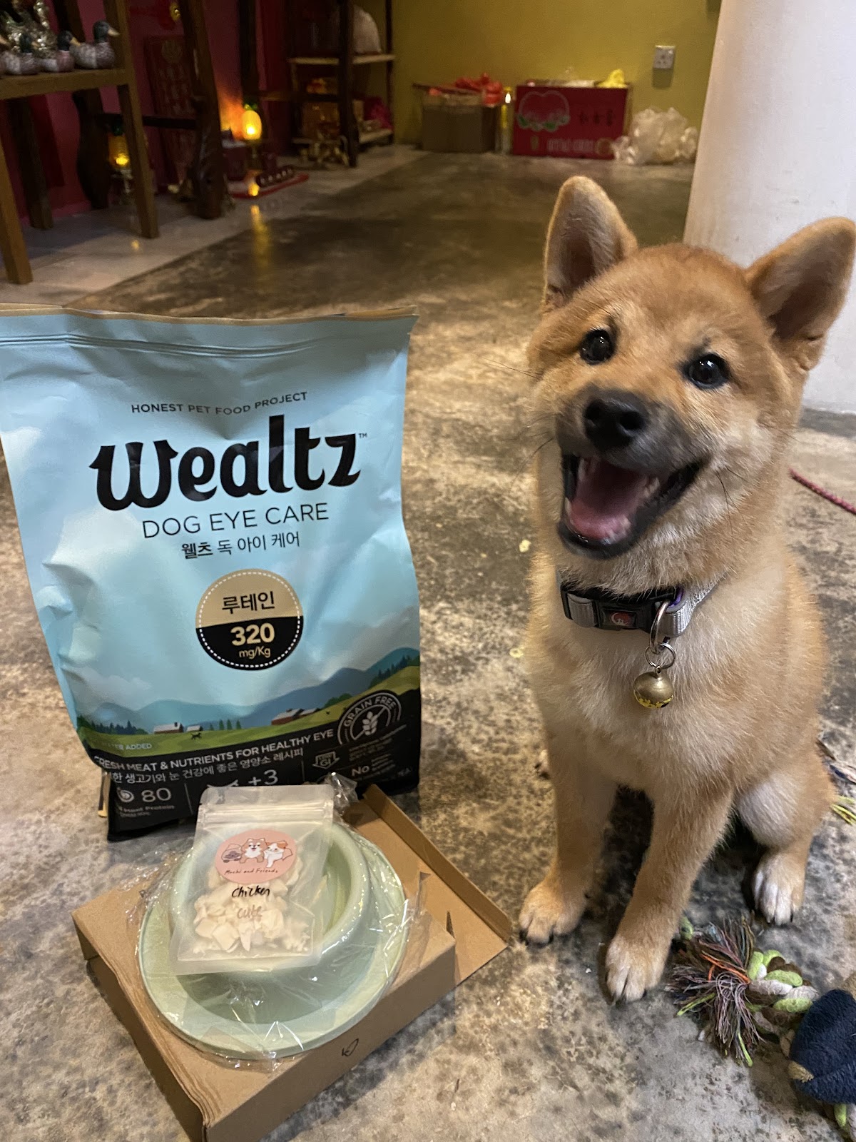 Mochi & Friends Ventures 10